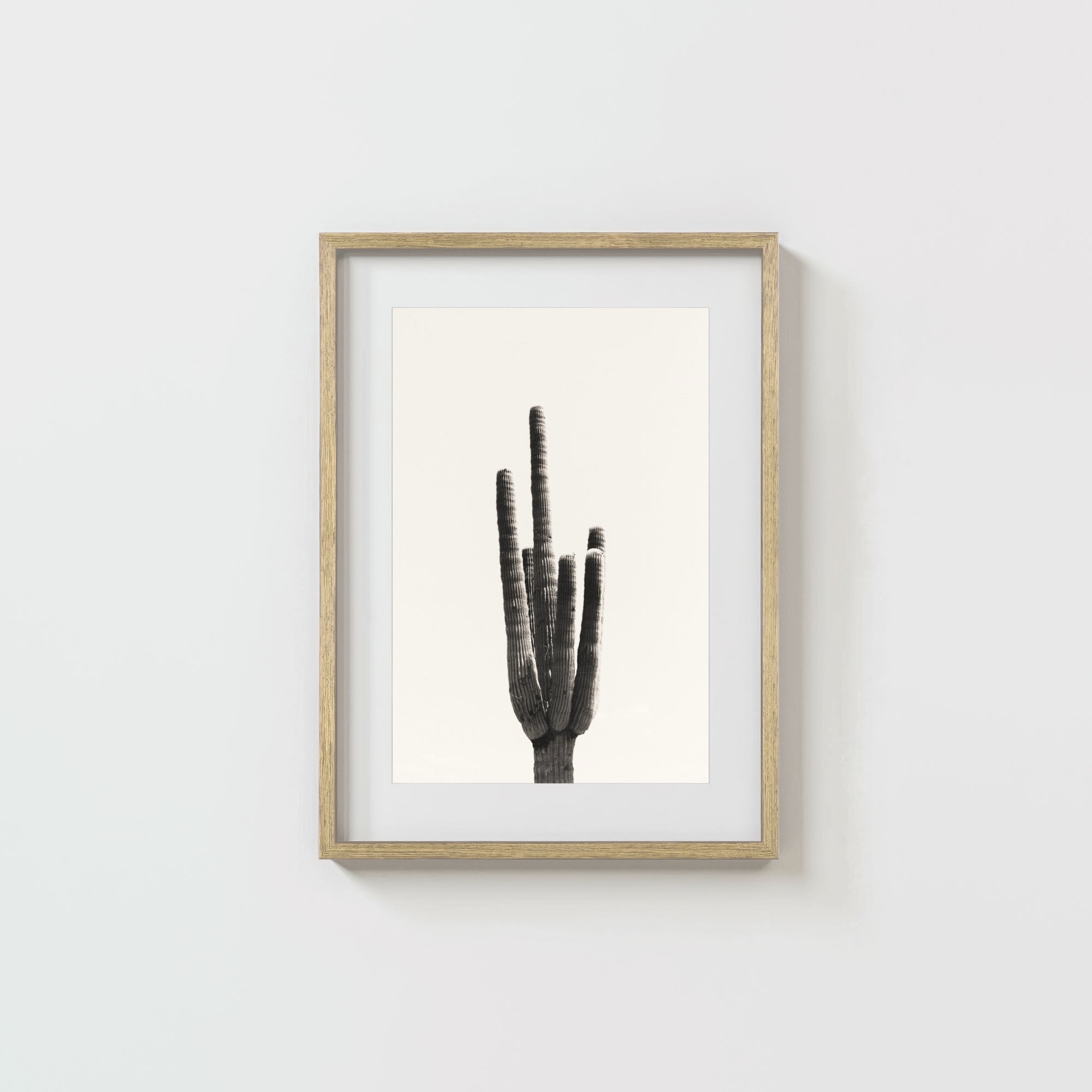 Cacti