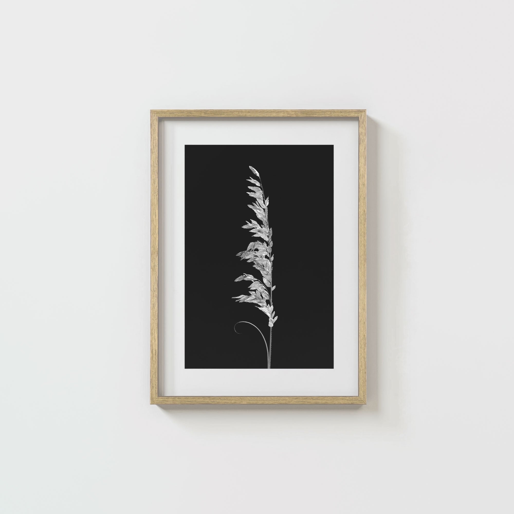 Wild Grain