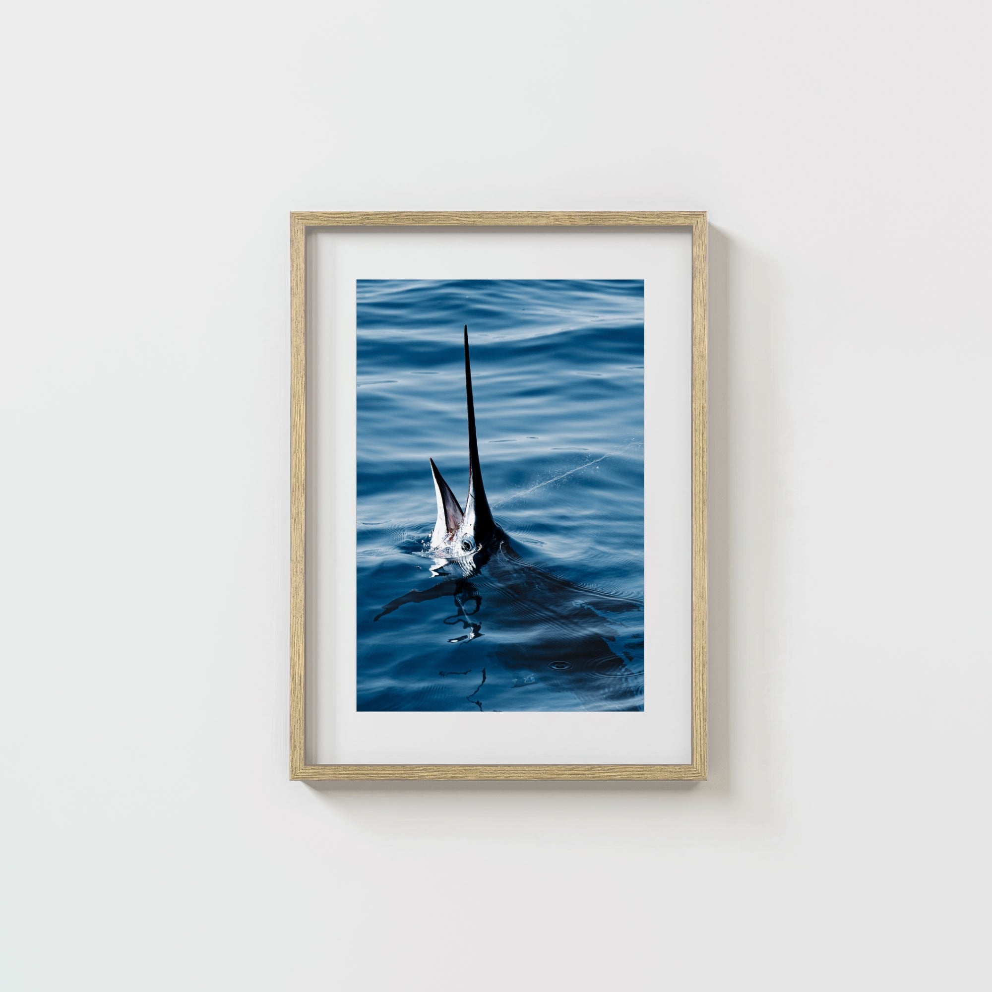 Sail Bite