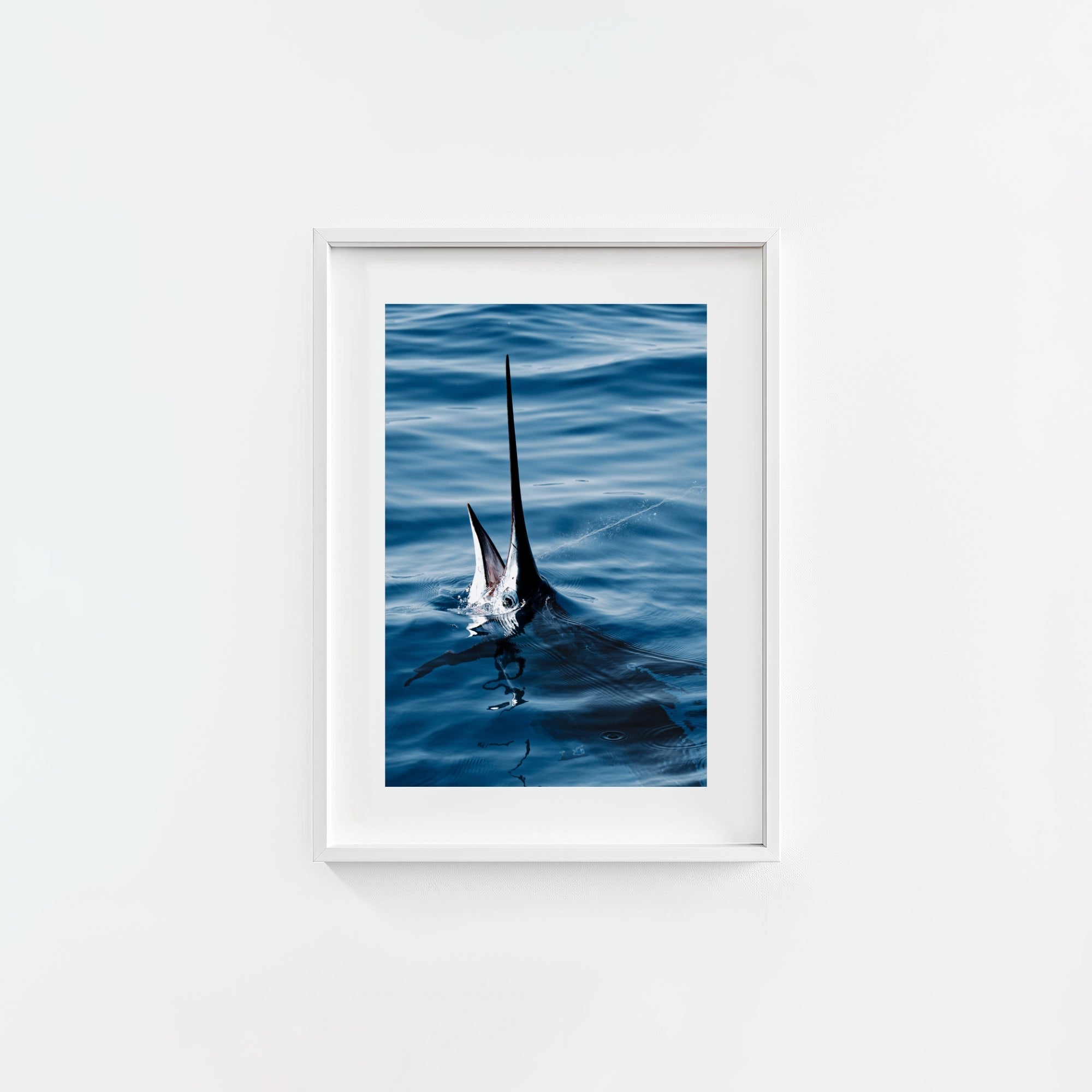Sail Bite