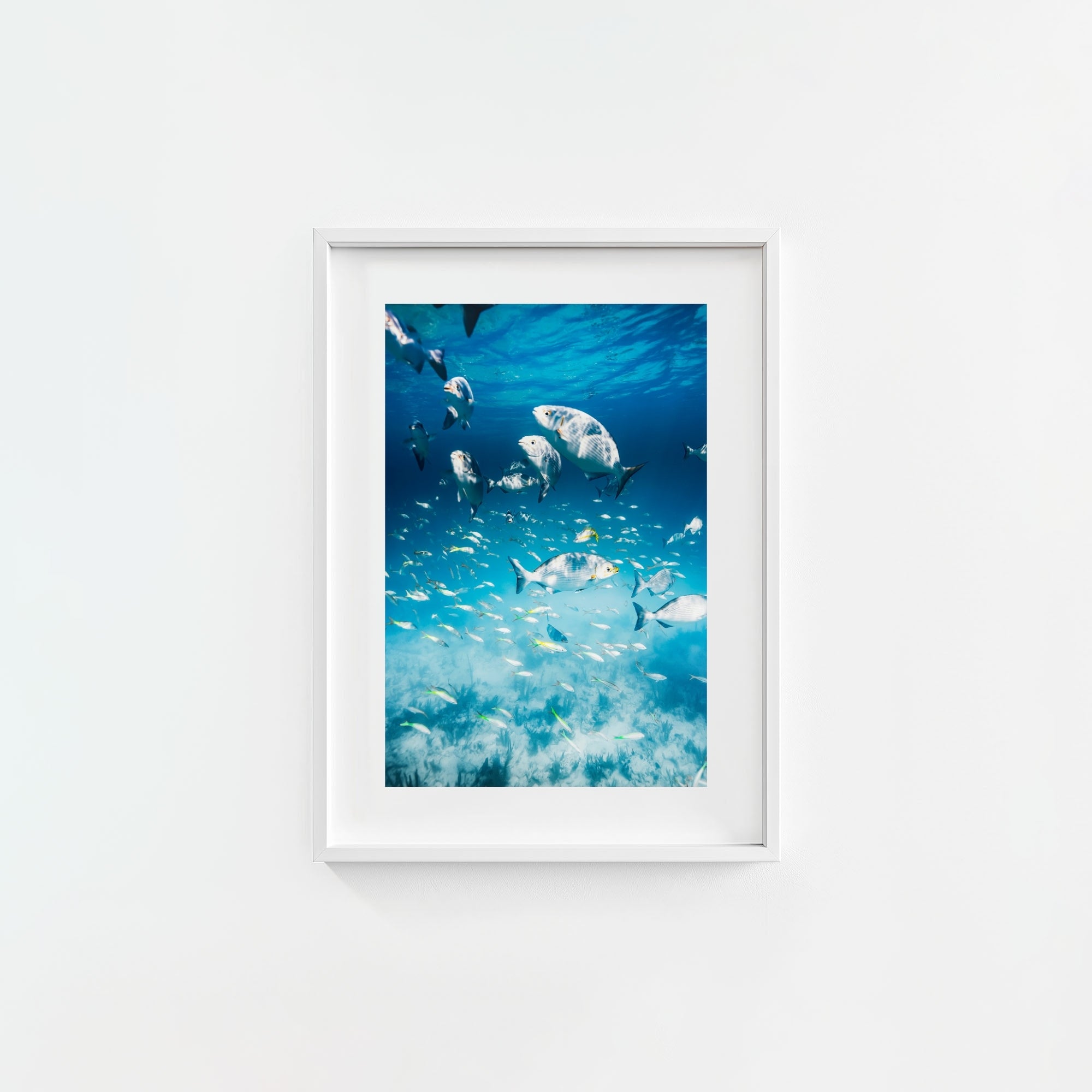 Colorful Current