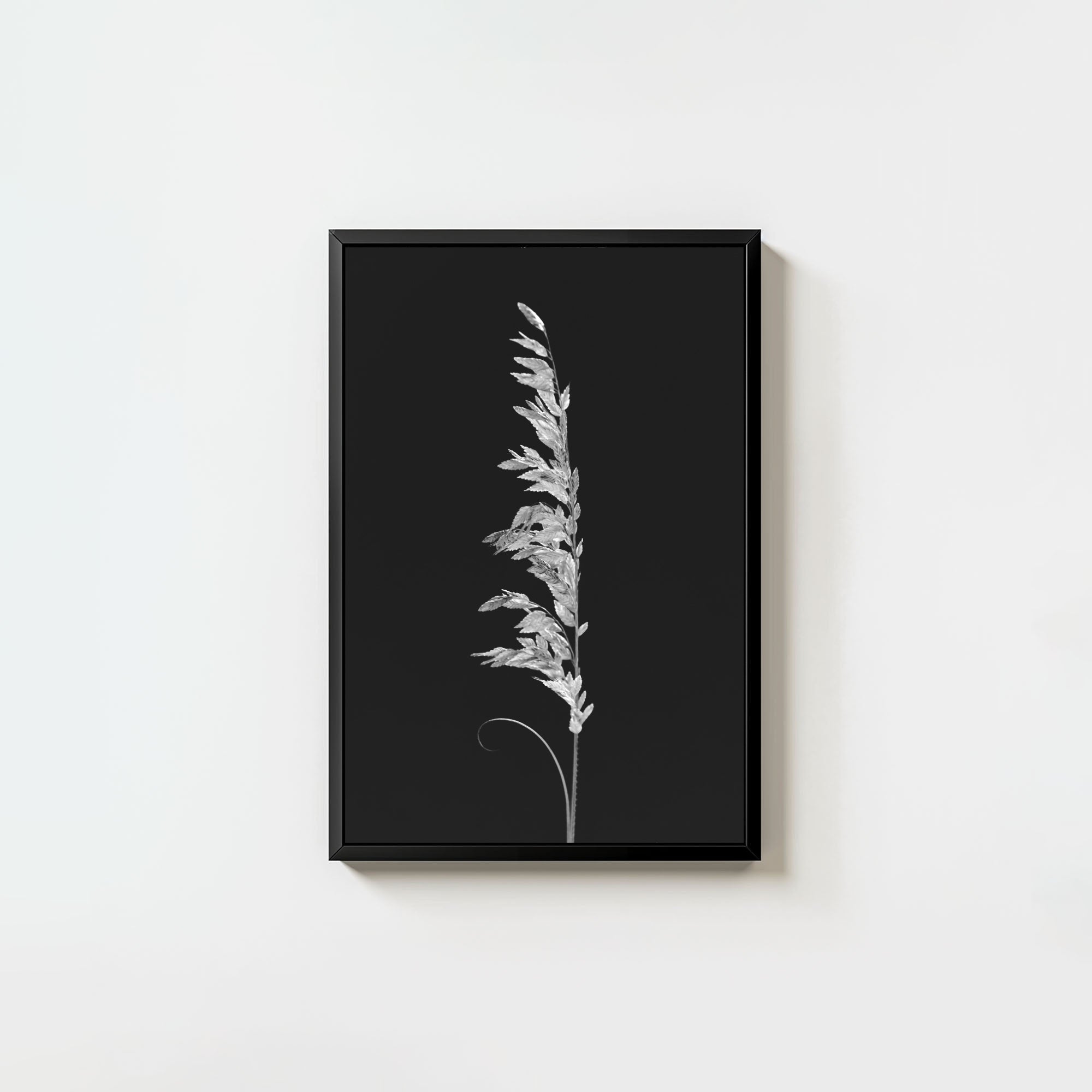 Wild Grain