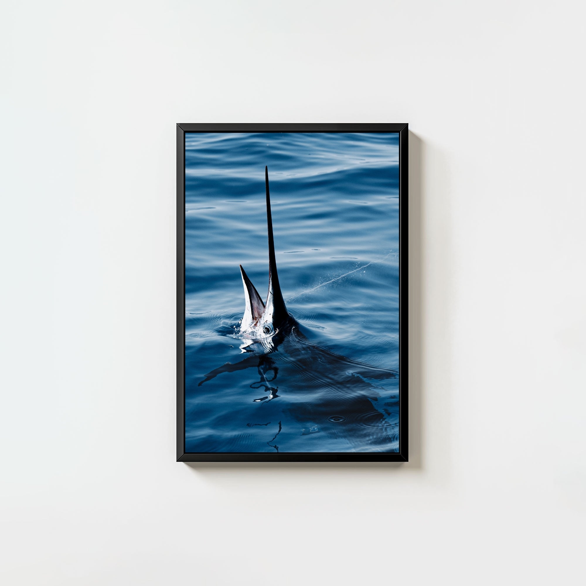Sail Bite