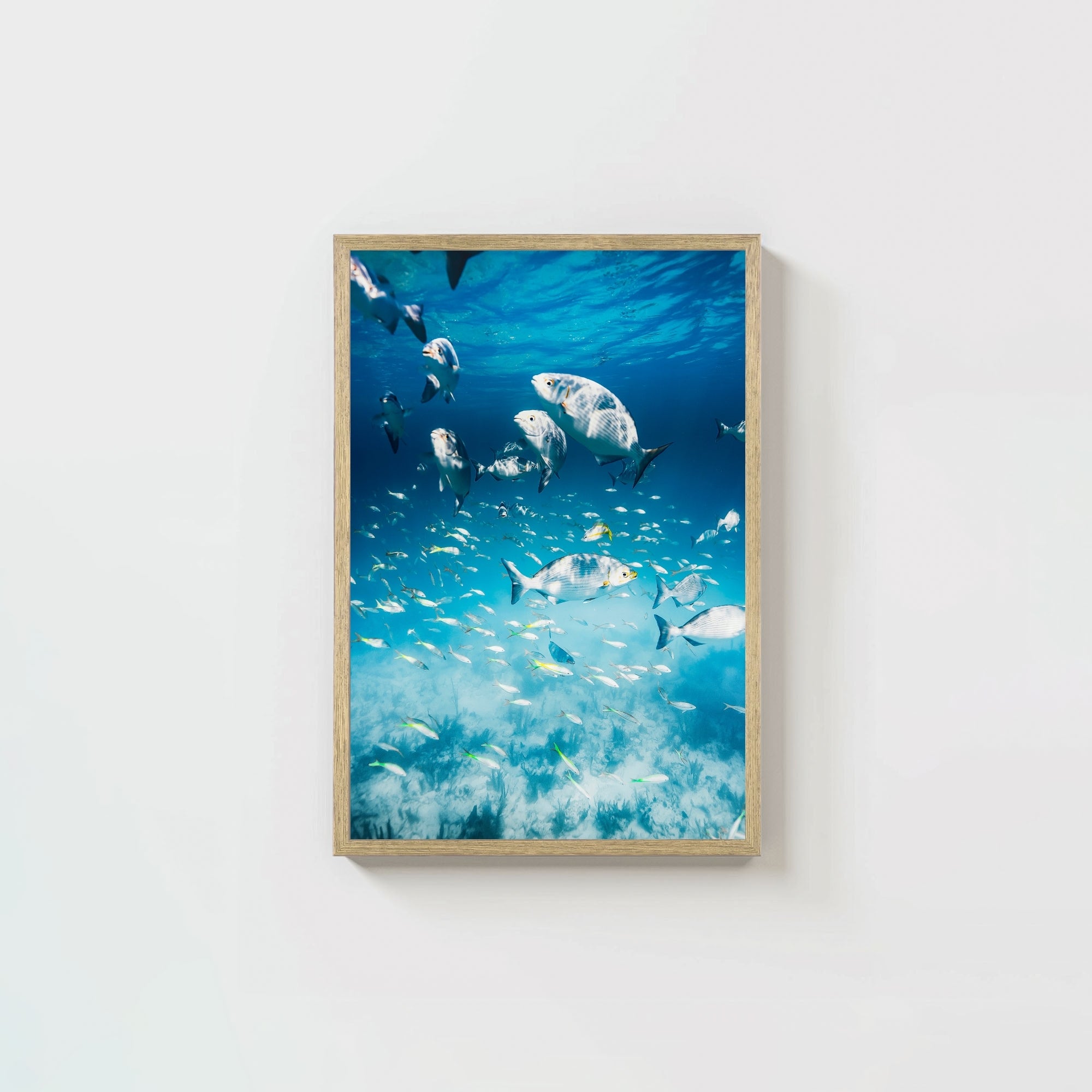 Colorful Current