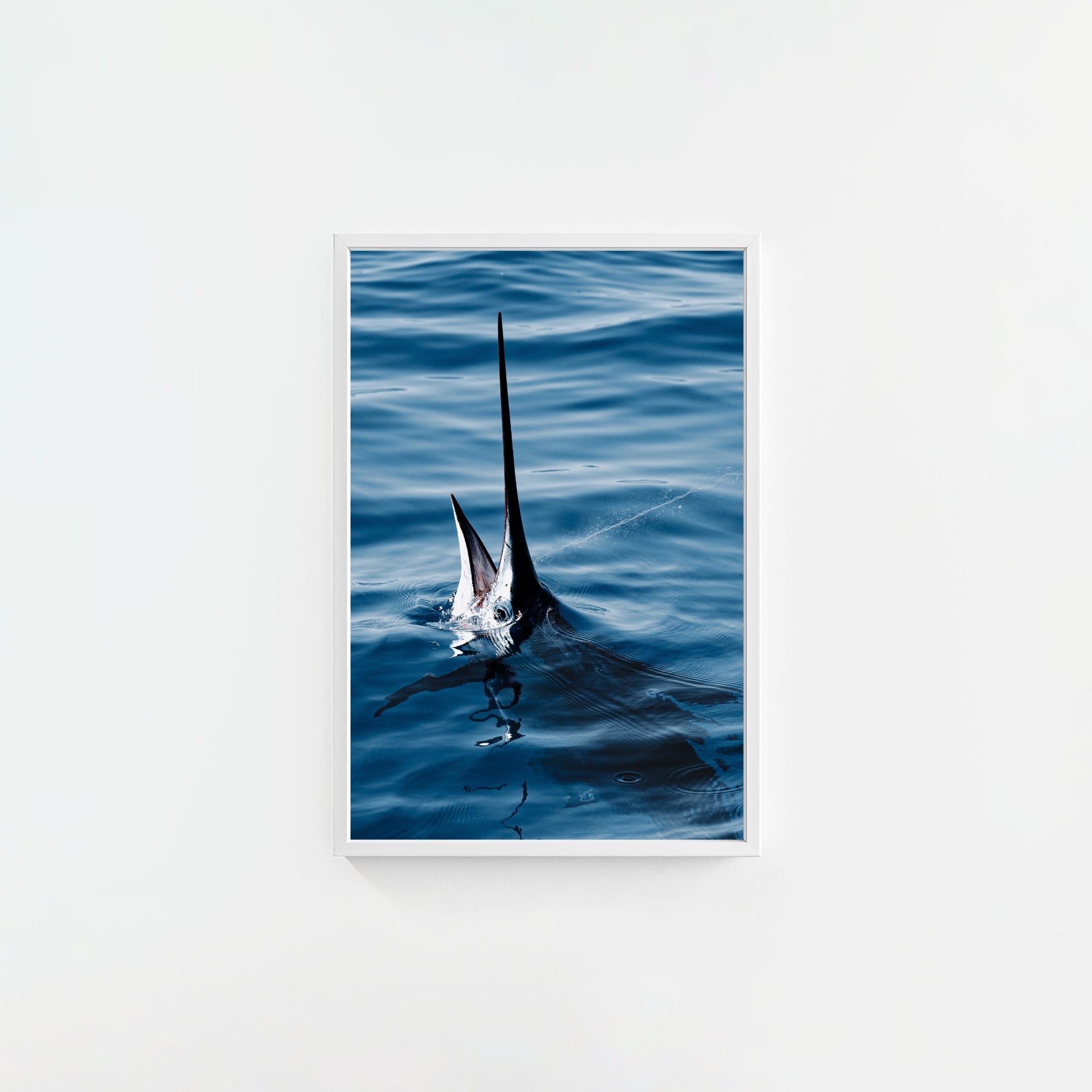 Sail Bite