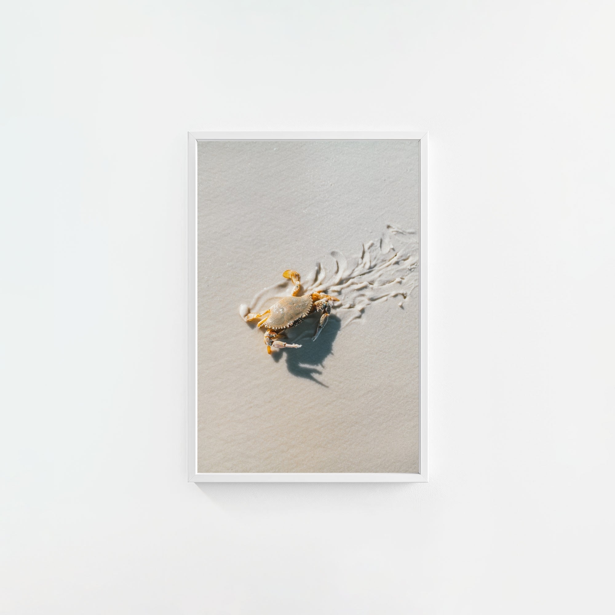 Crab Graffiti