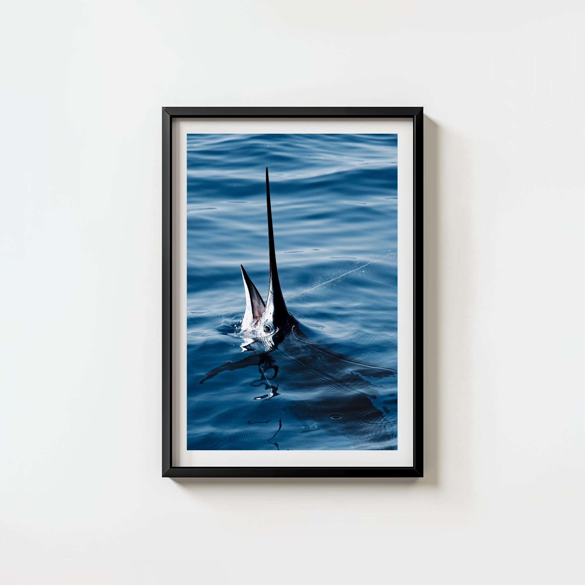 Sail Bite