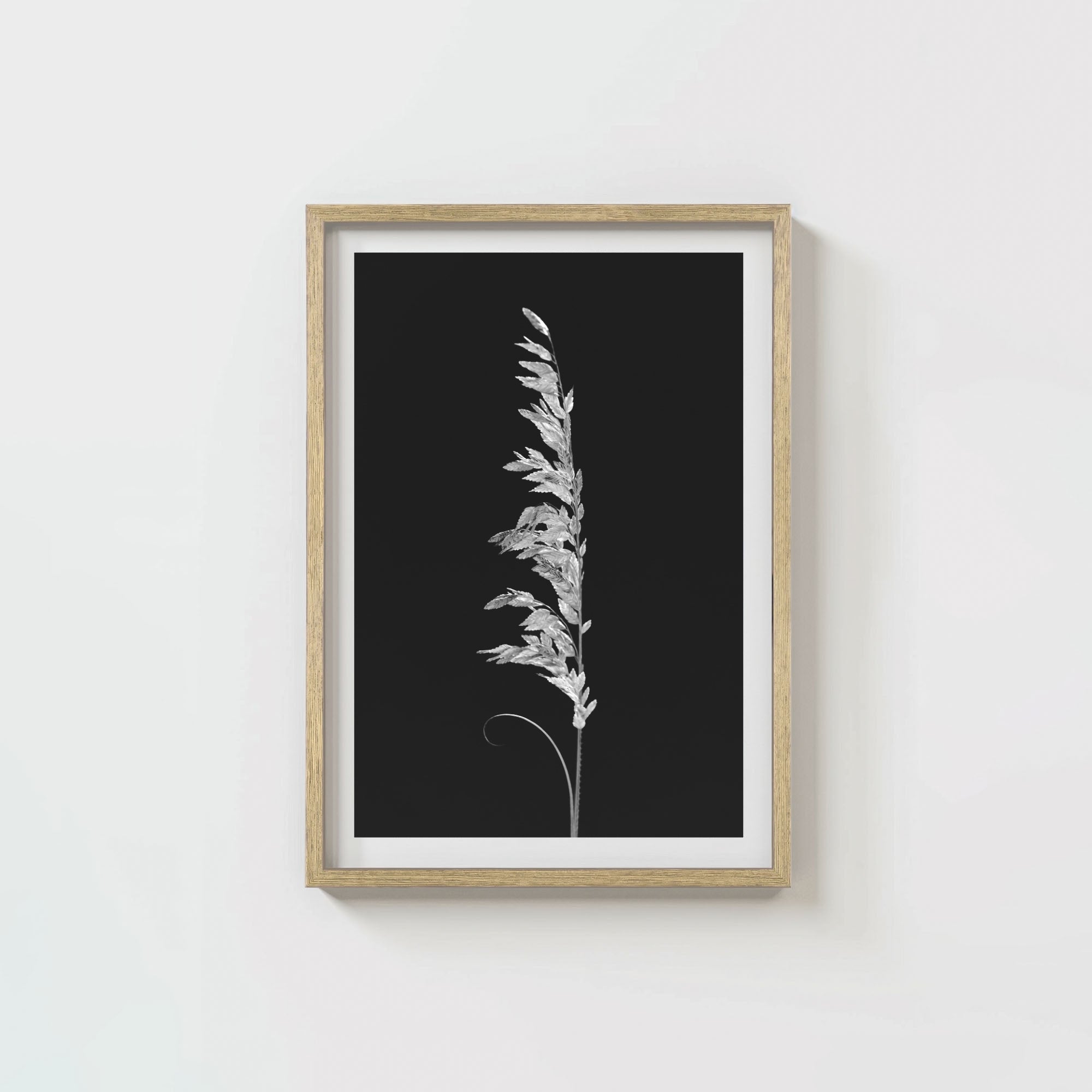 Wild Grain