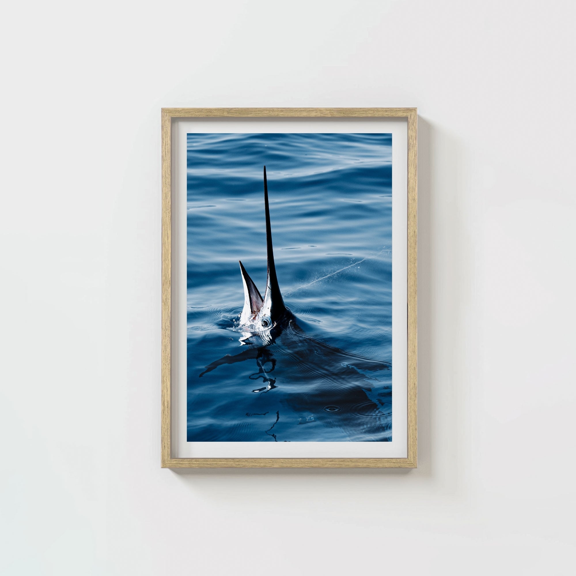 Sail Bite