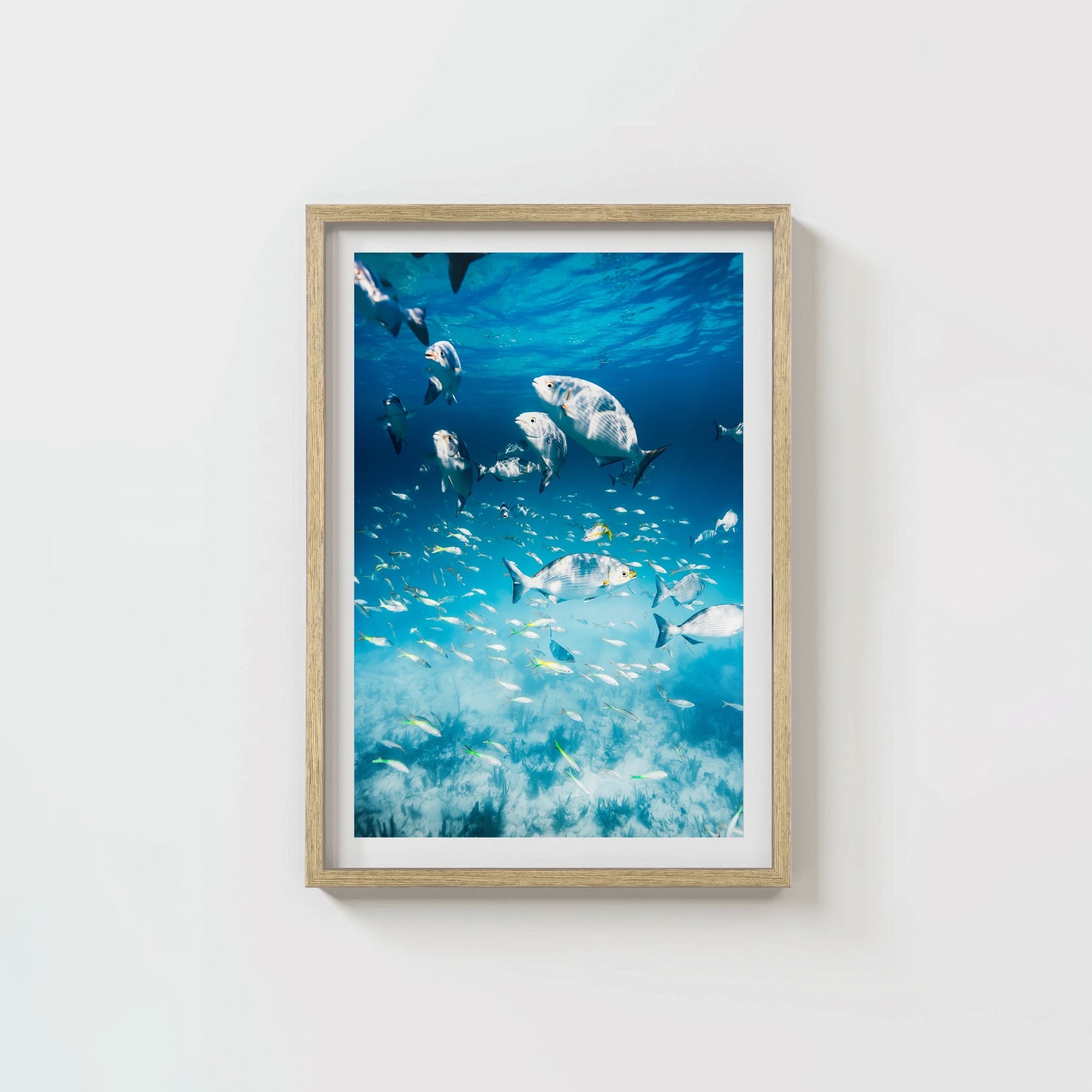 Colorful Current