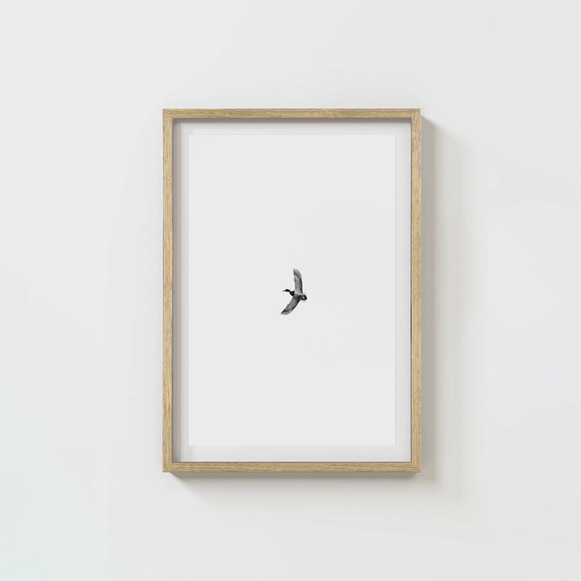 Greenhead