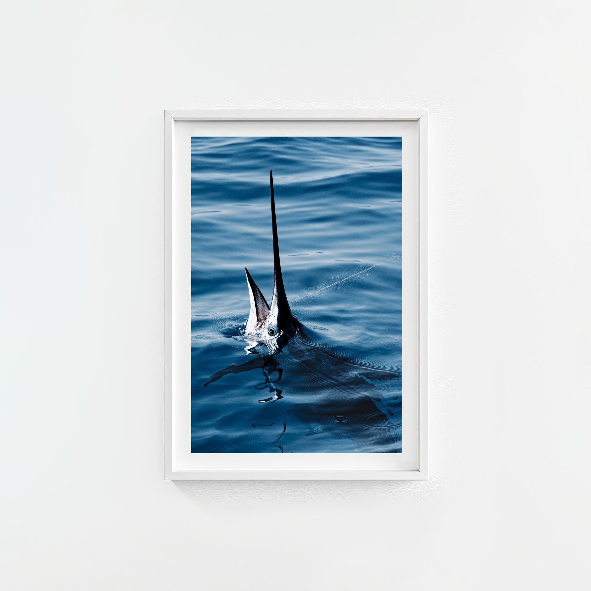 Sail Bite