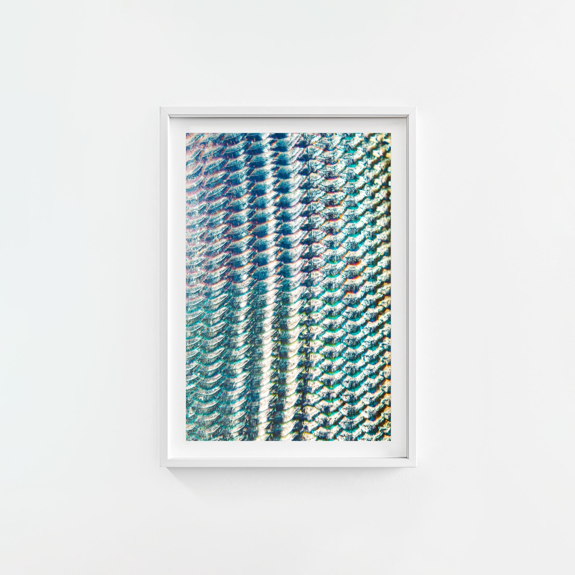 Bonefish Blueprint