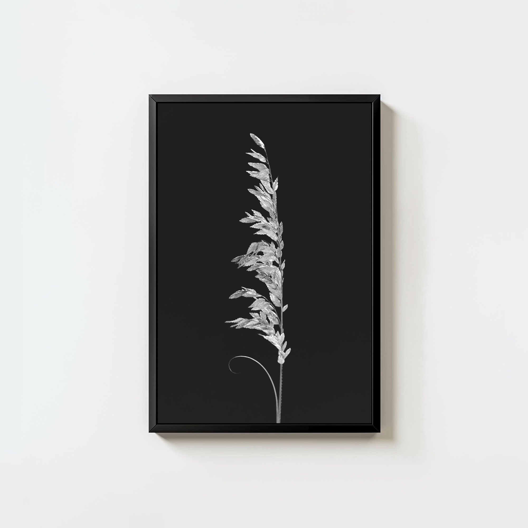 Wild Grain