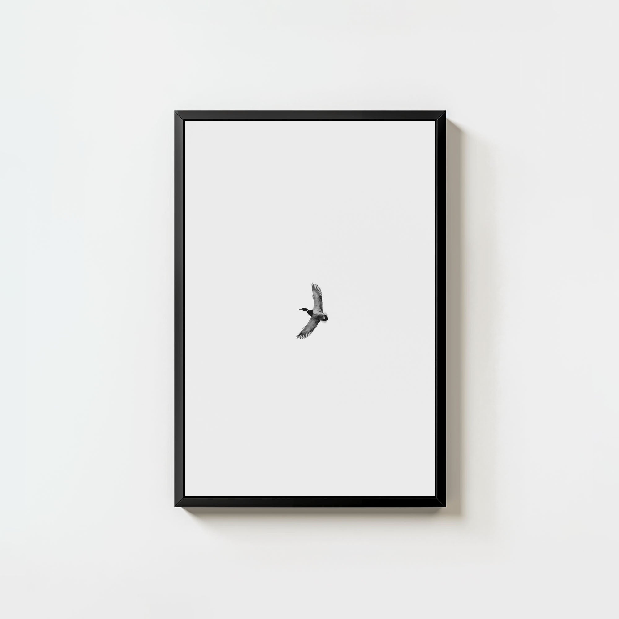 Greenhead