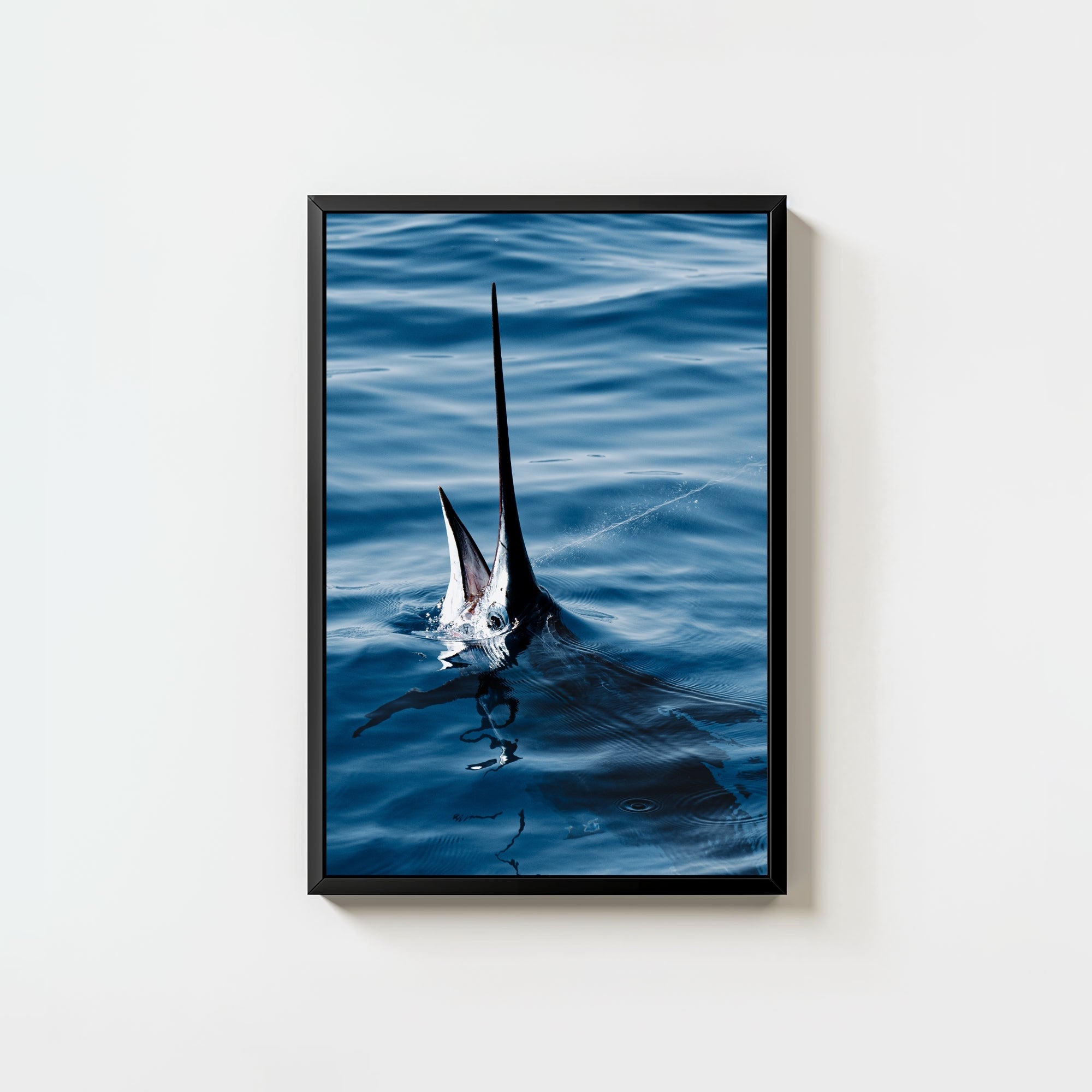 Sail Bite