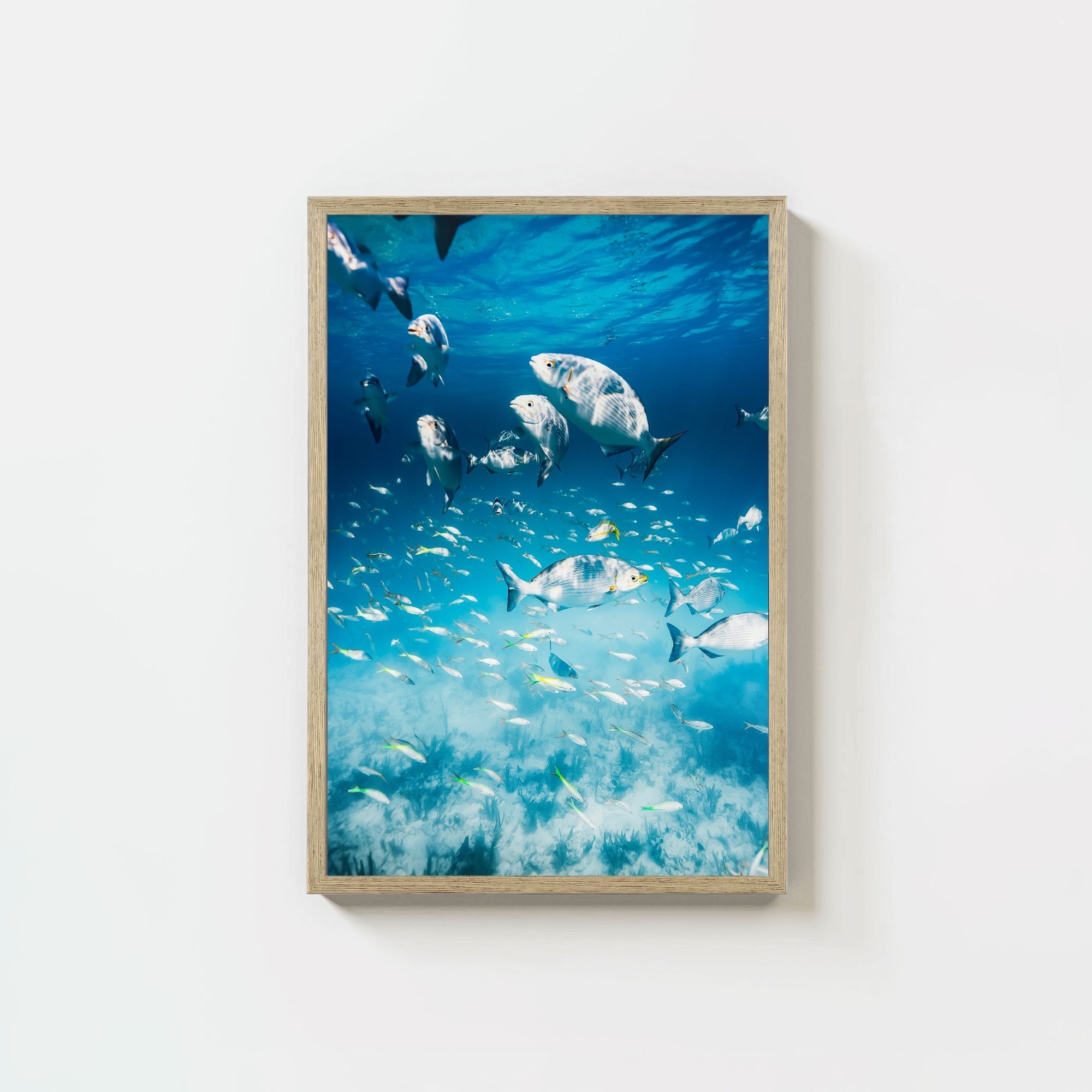 Colorful Current