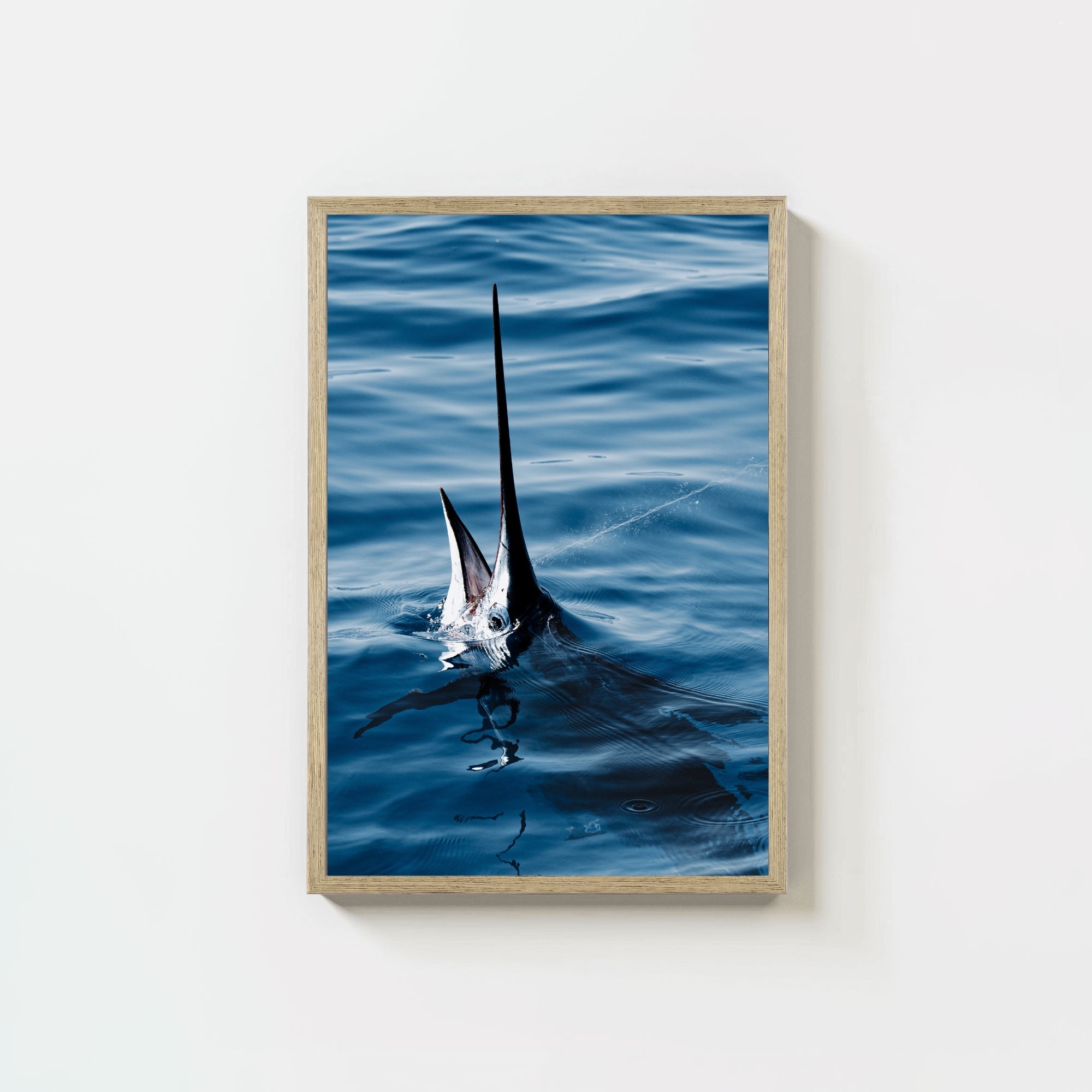 Sail Bite