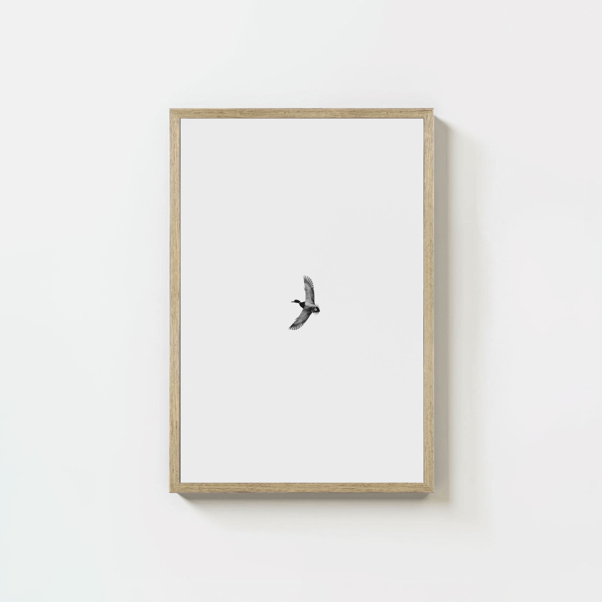 Greenhead
