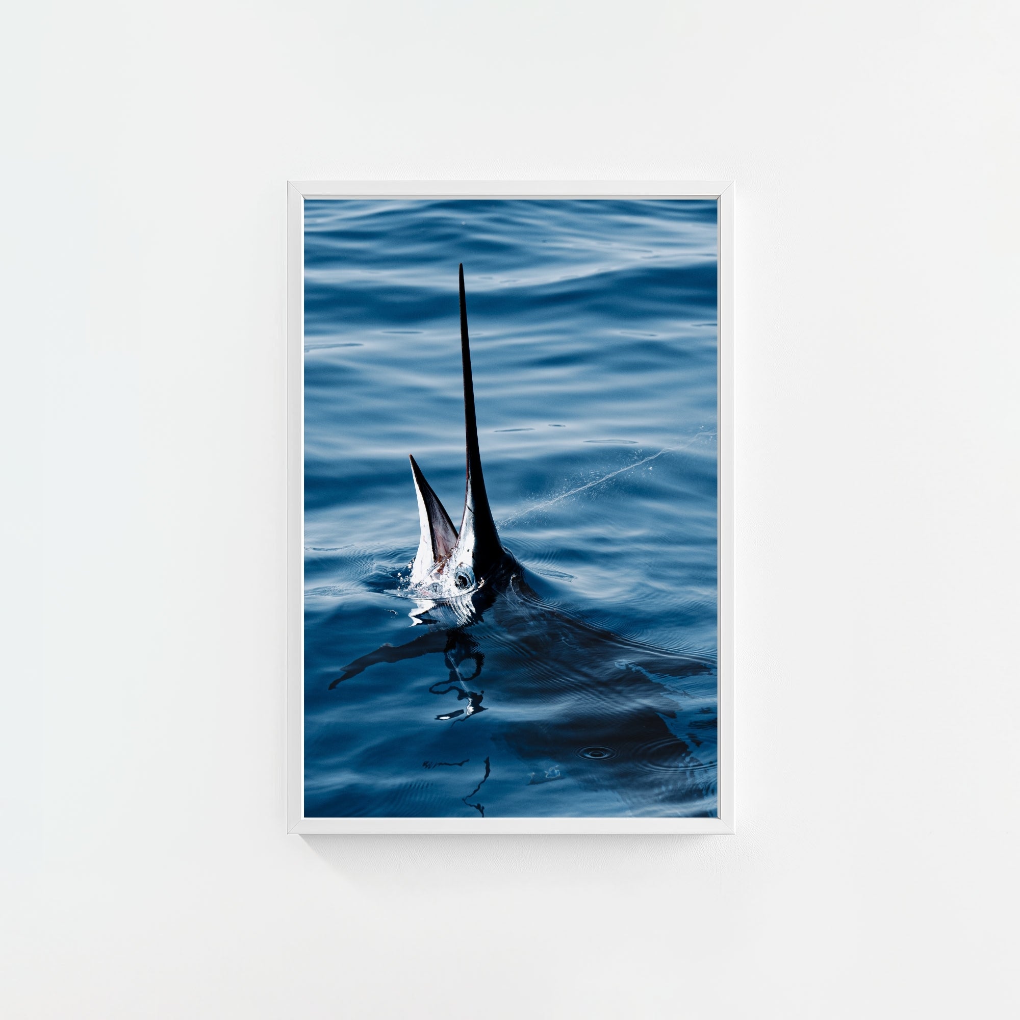 Sail Bite