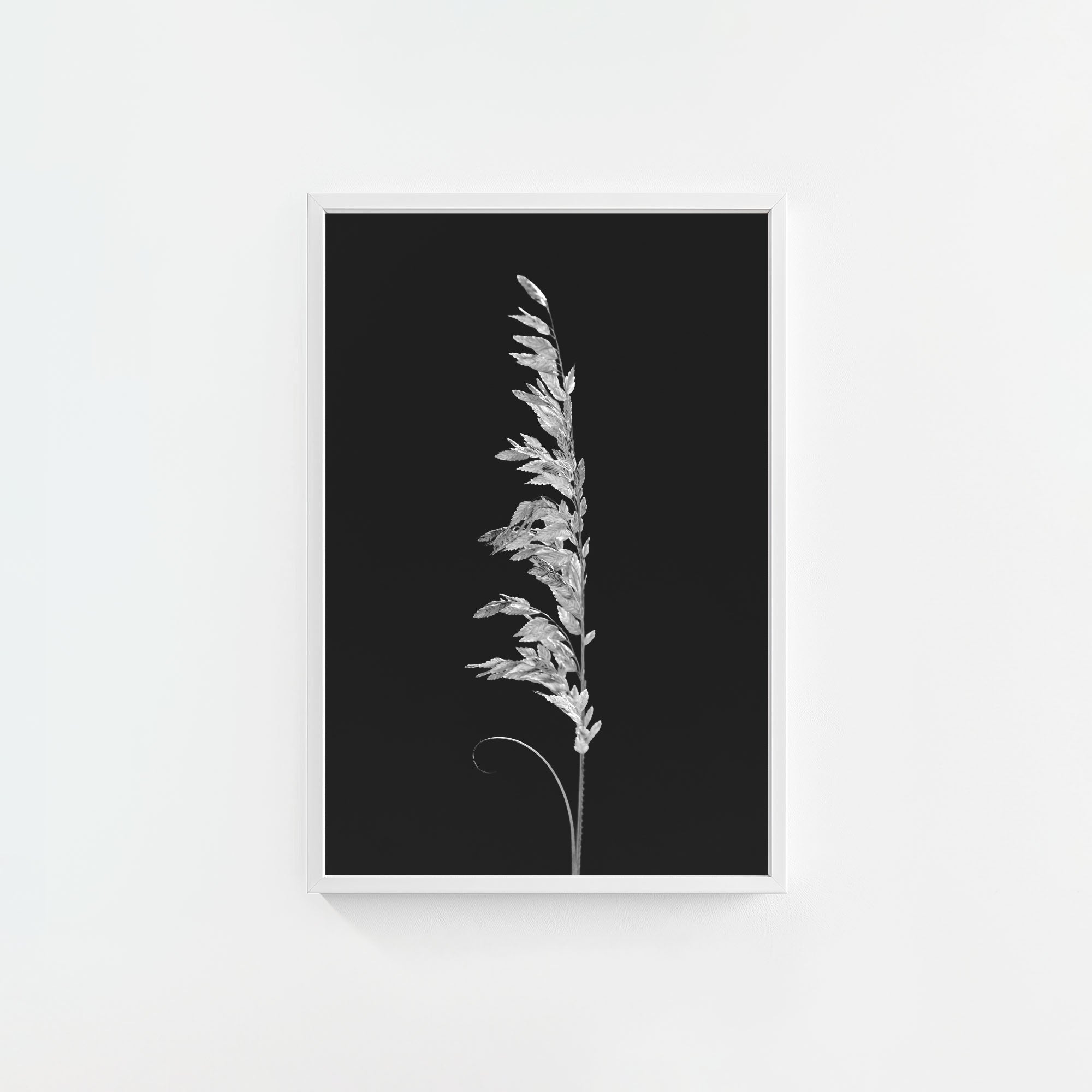 Wild Grain