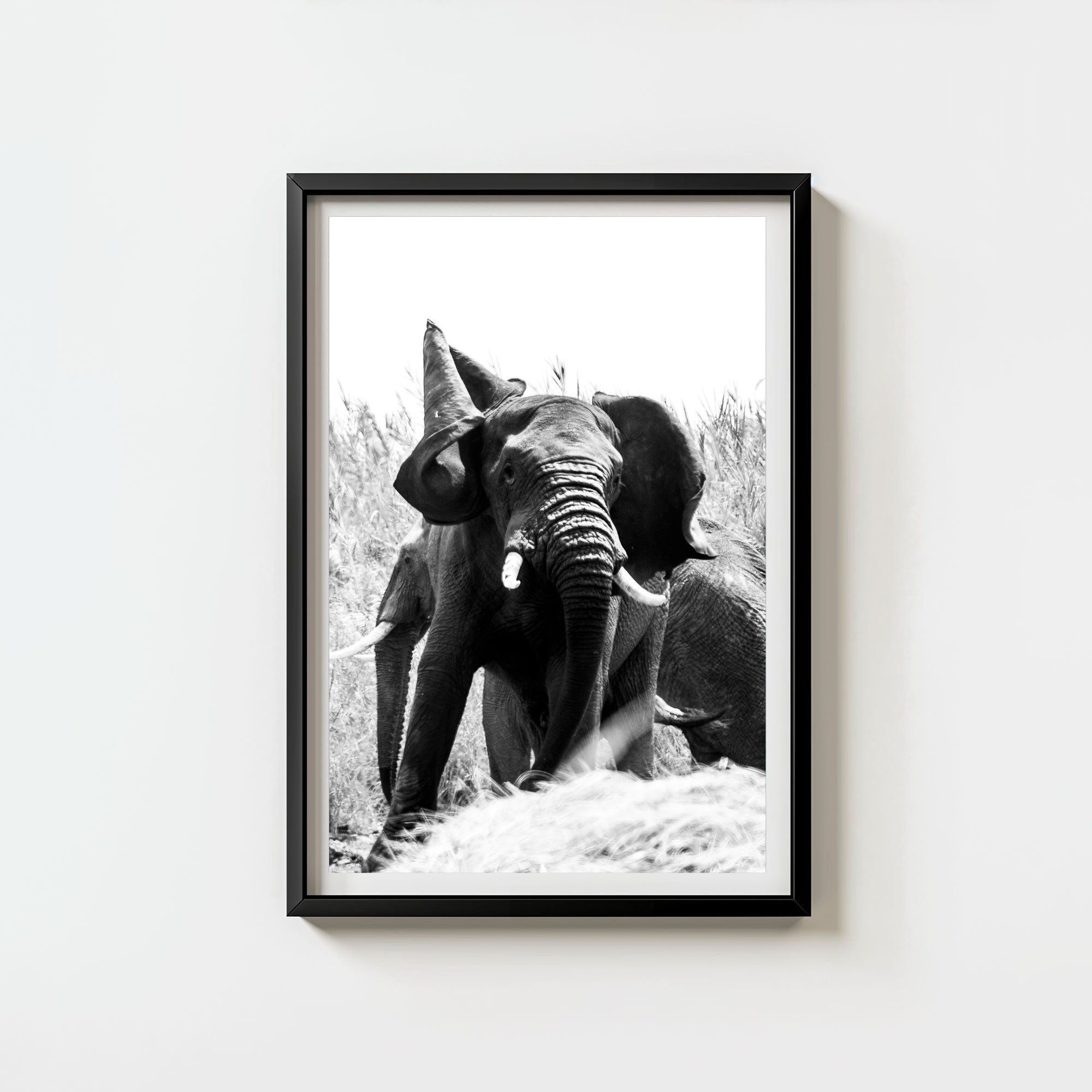 Tembo