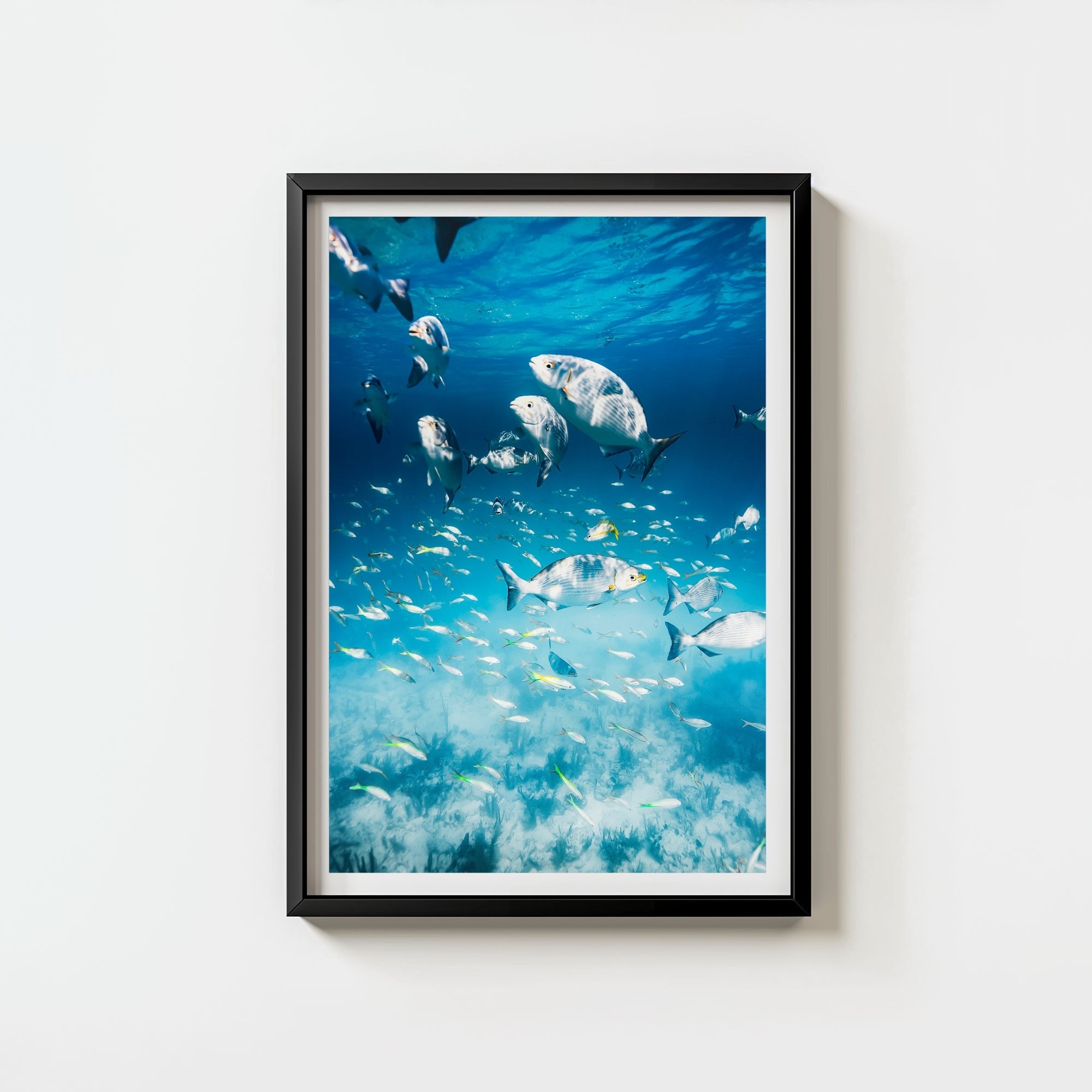 Colorful Current
