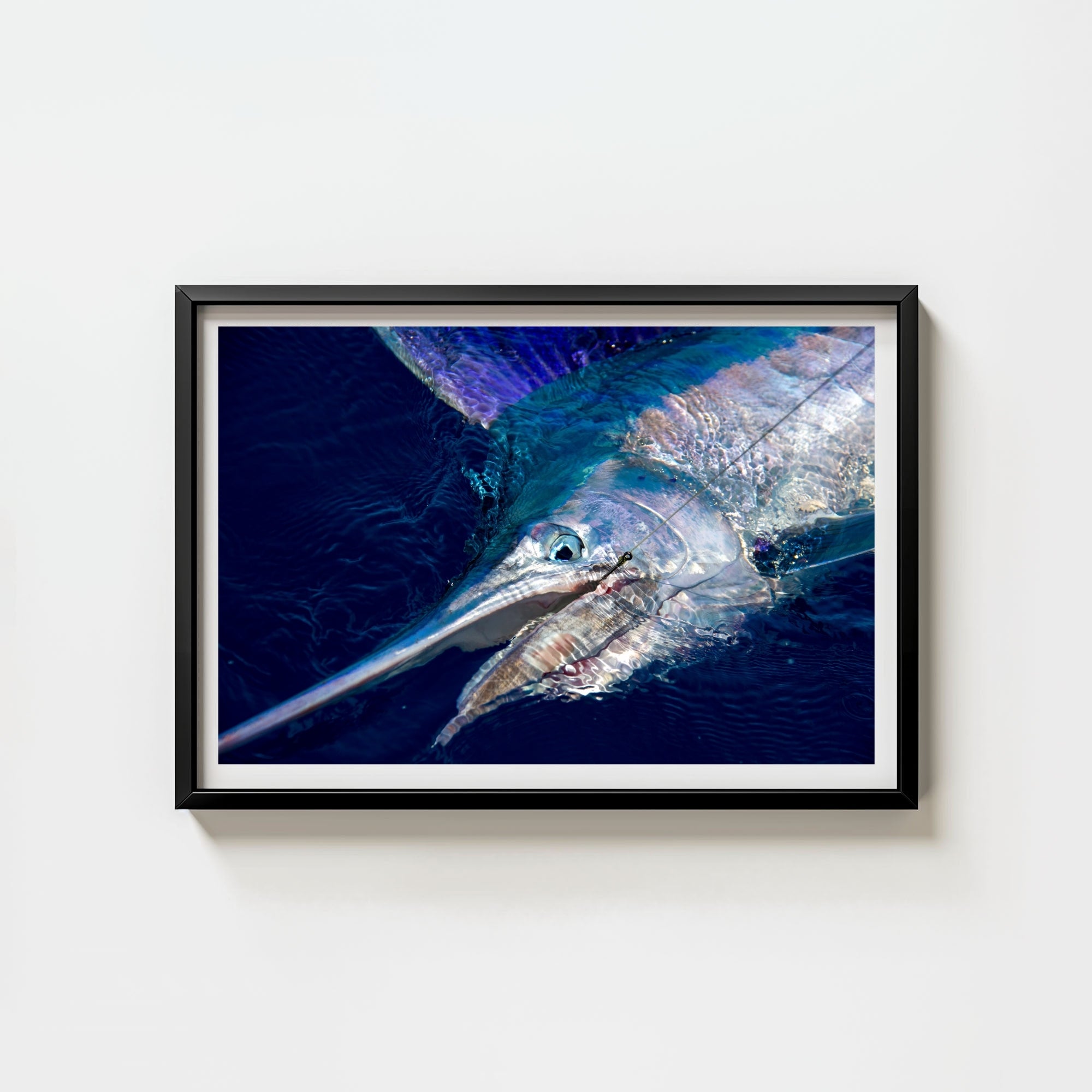 Oil Slick