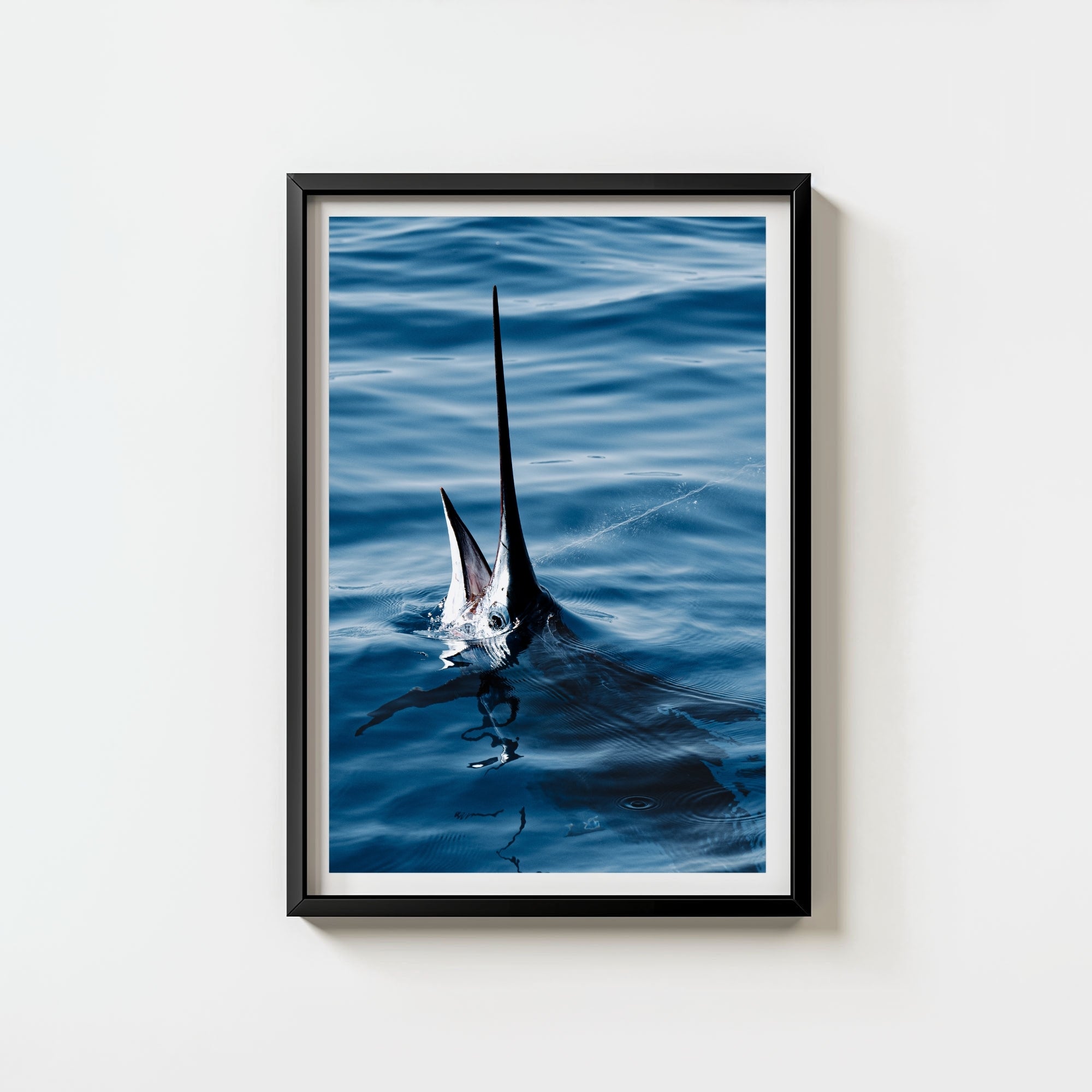 Sail Bite