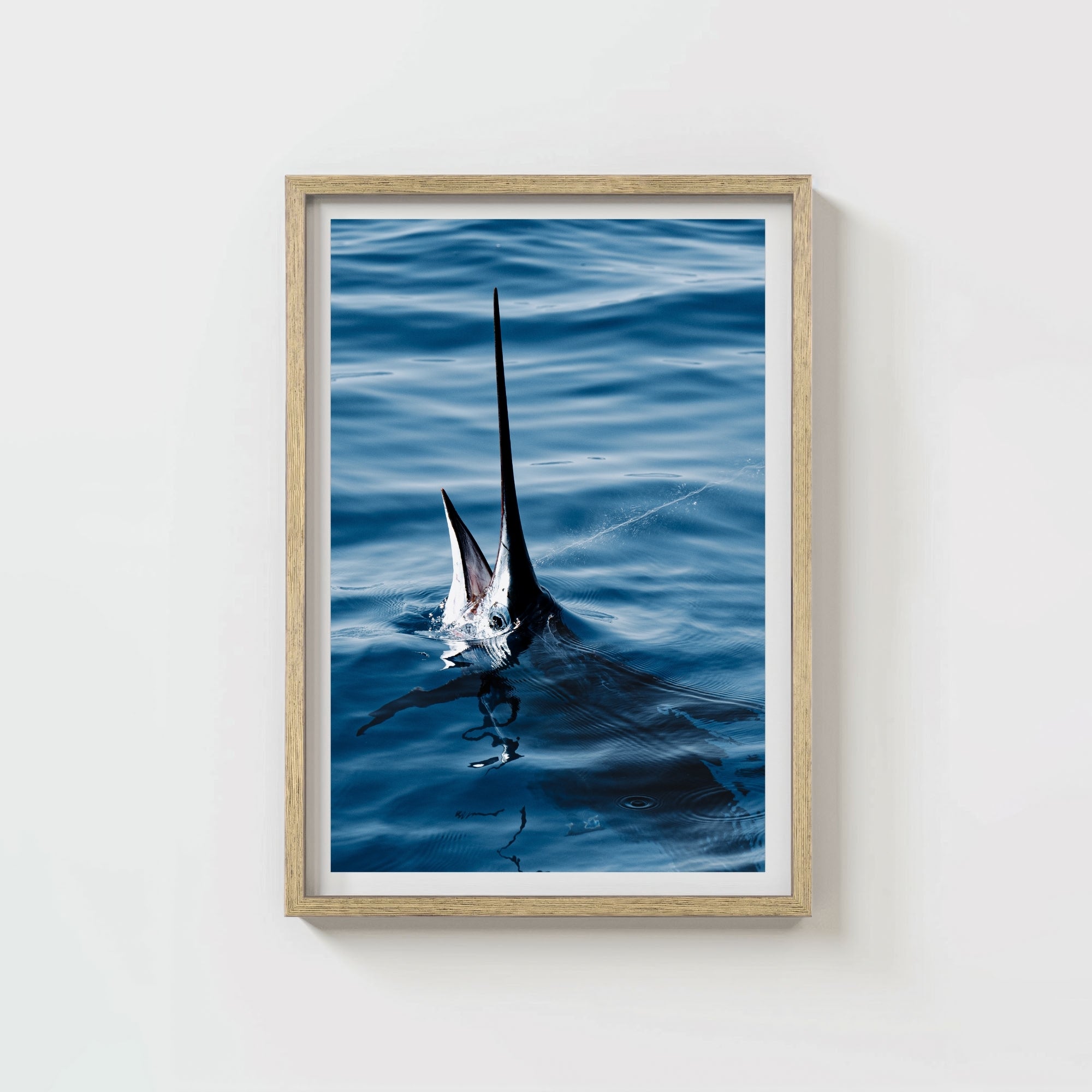 Sail Bite