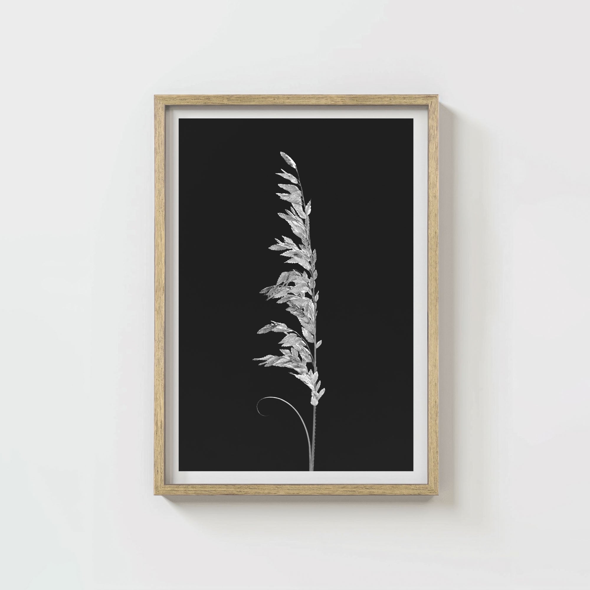 Wild Grain
