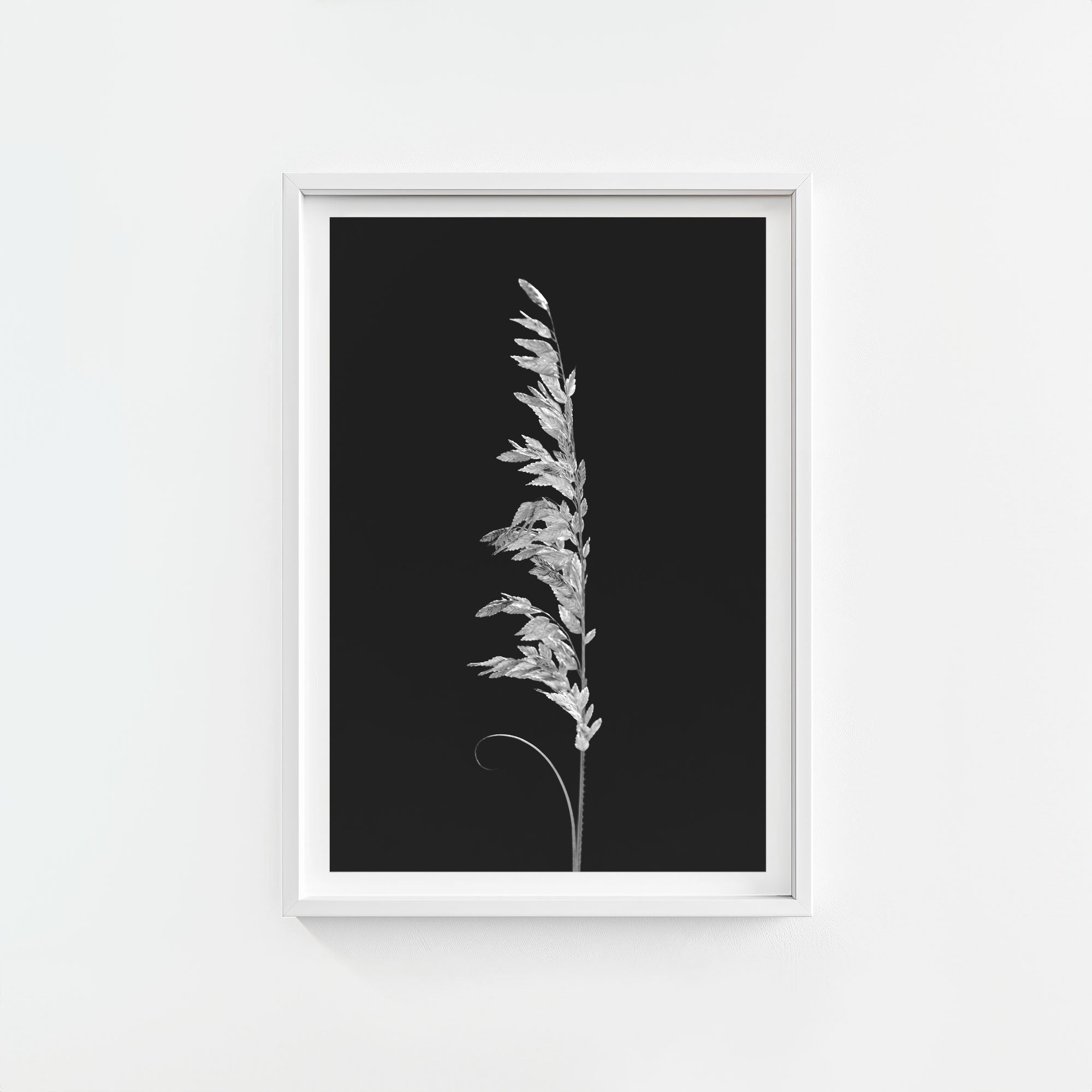 Wild Grain