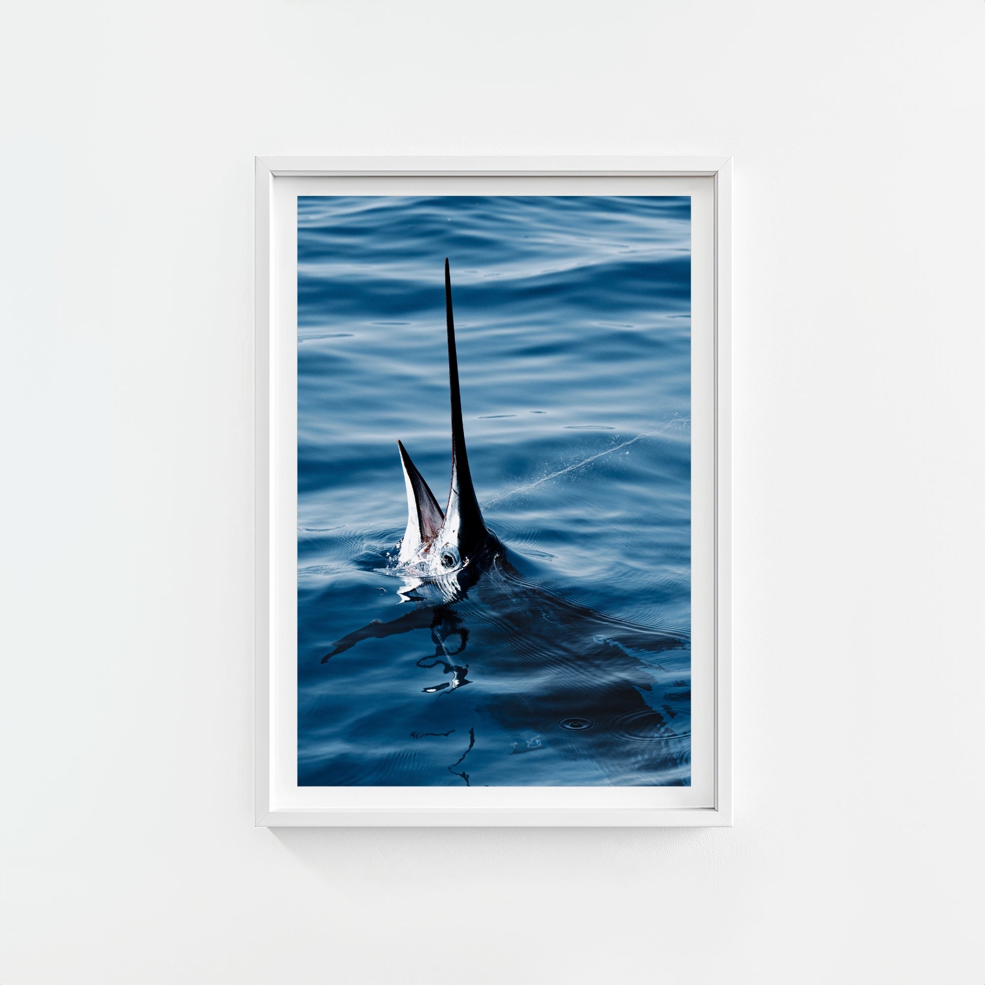 Sail Bite