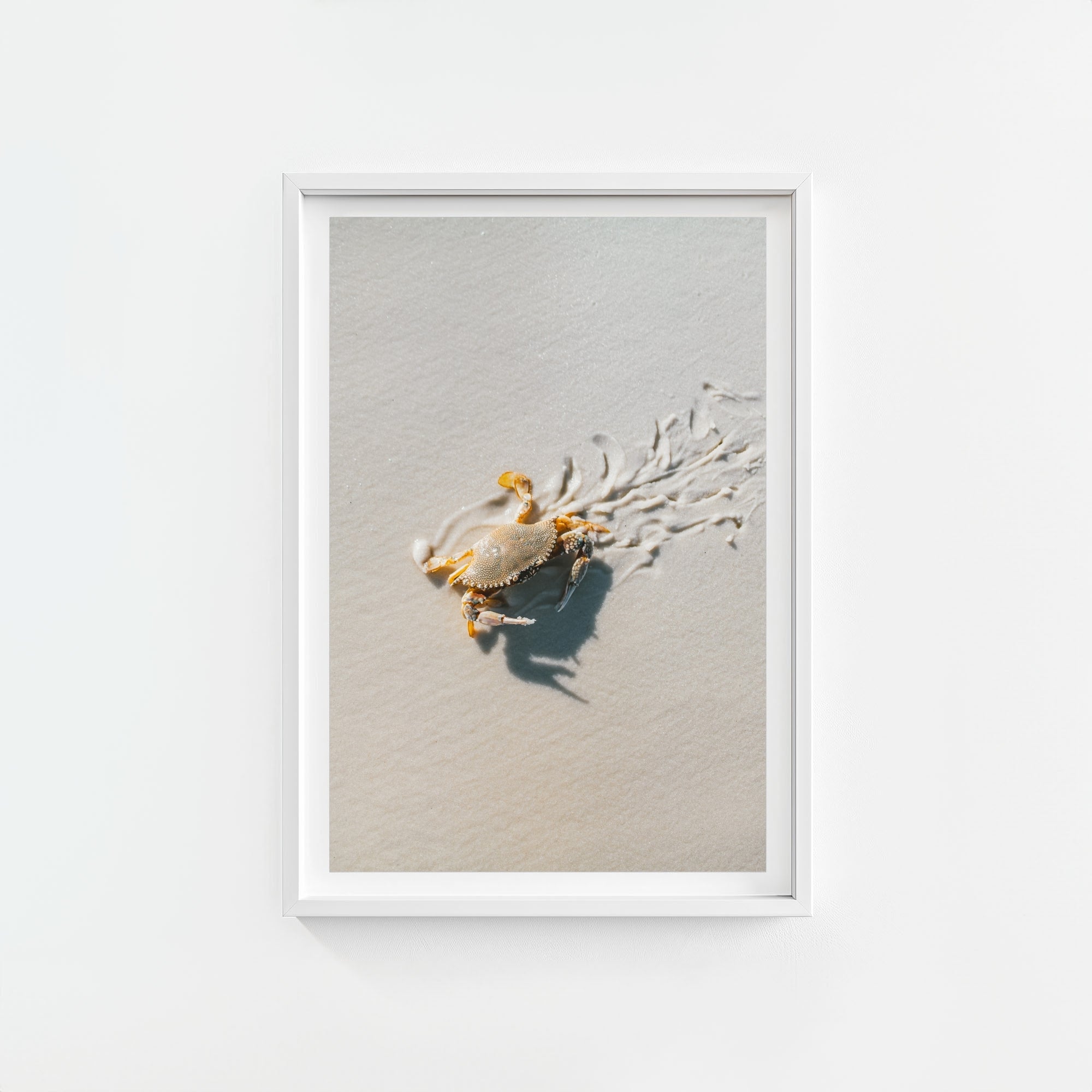 Crab Graffiti