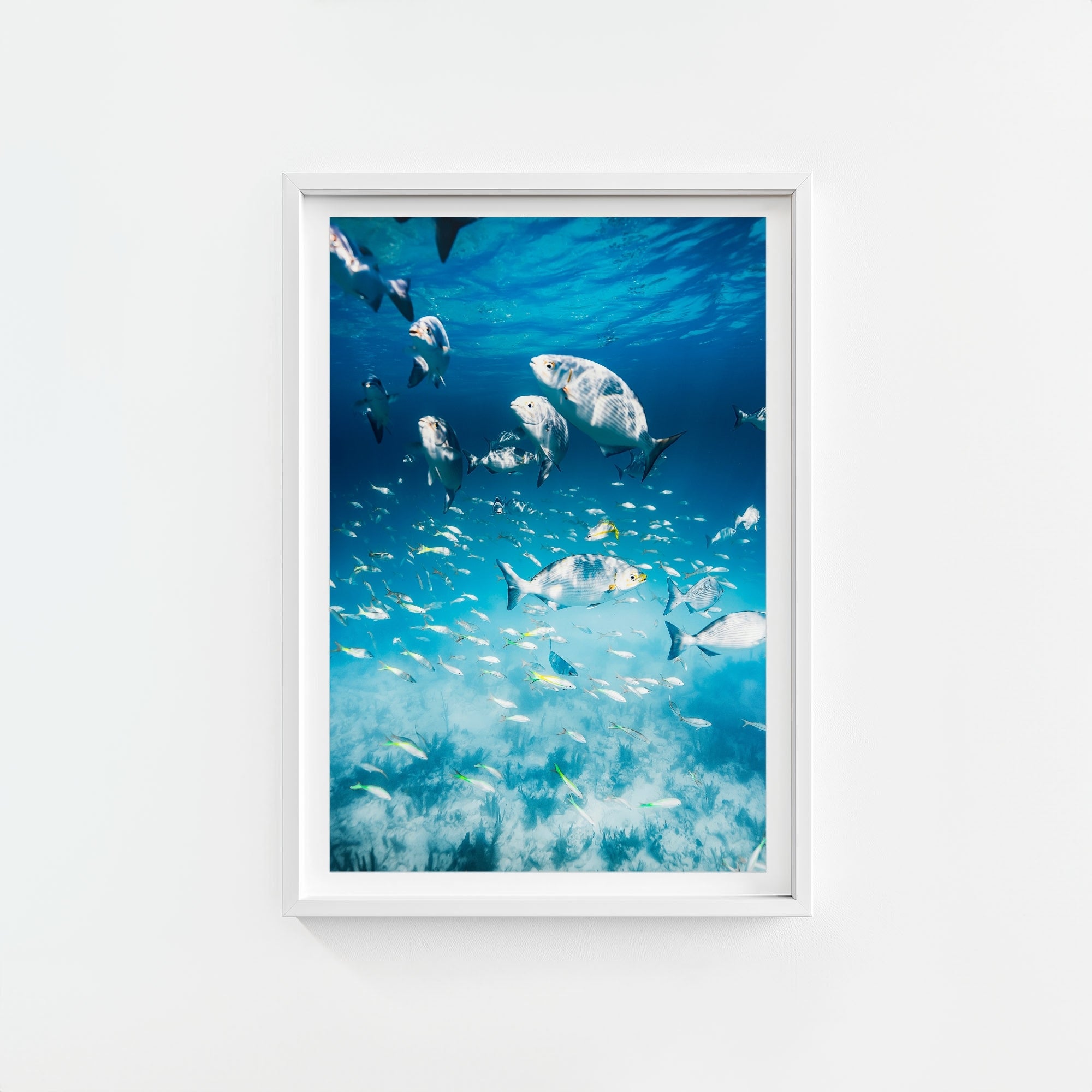 Colorful Current