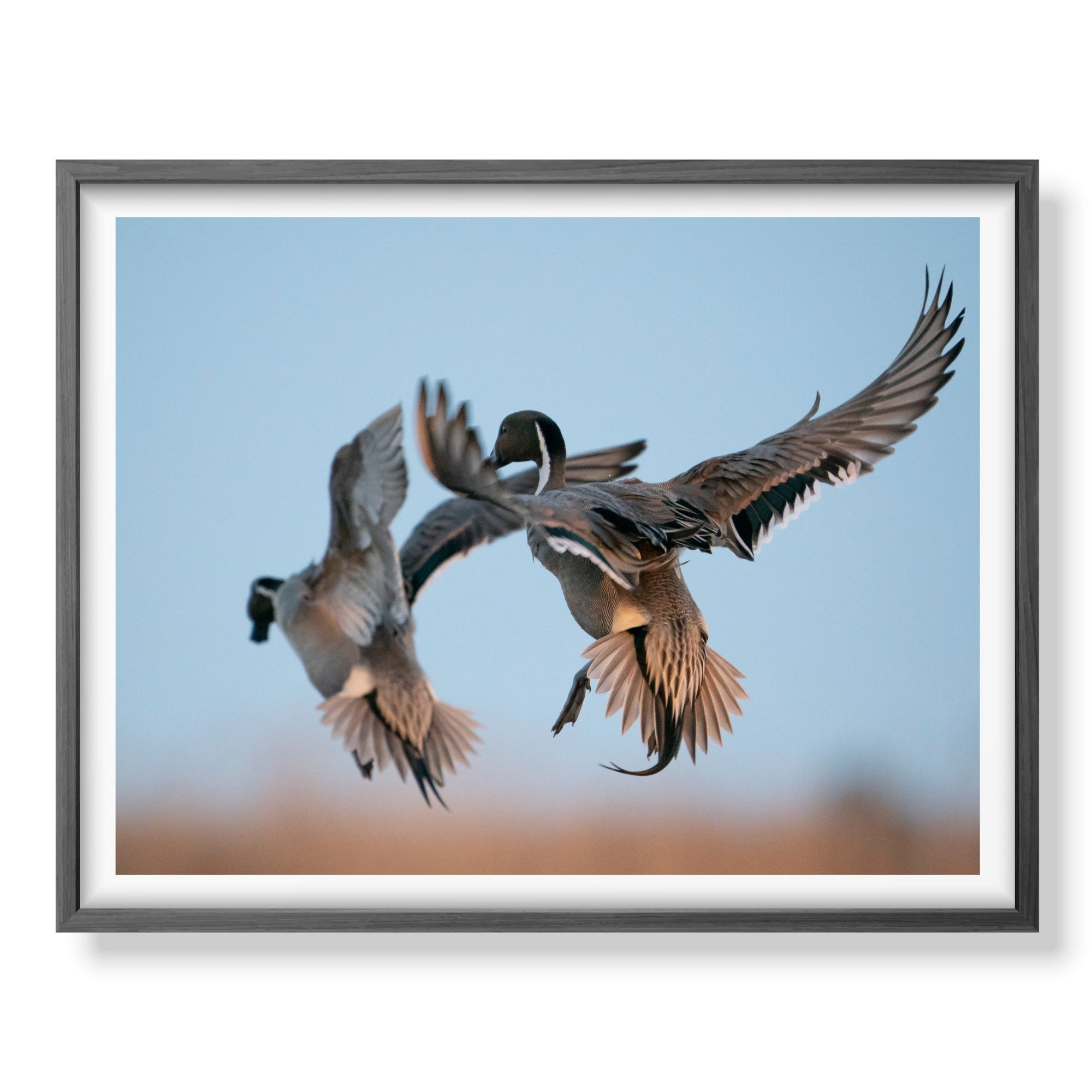 Pair Of Sprigs